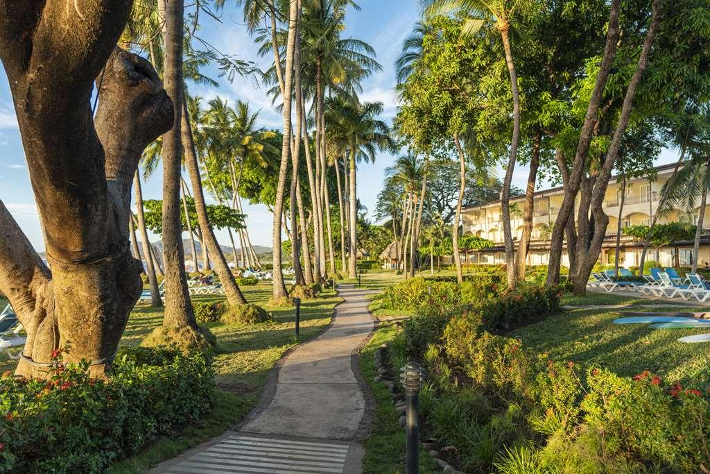 Hotel Tamarindo Diria Beach Resort Fasilitas foto